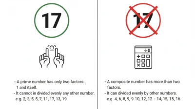17 Prime or Composite