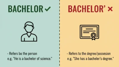 Bachelor / Bachelor’s